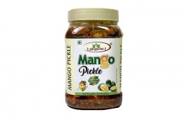 Gangawat Mango Pickle   Plastic Jar  1 kilogram